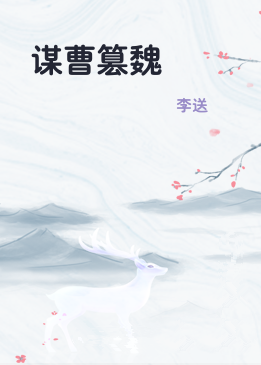 谋曹篡魏