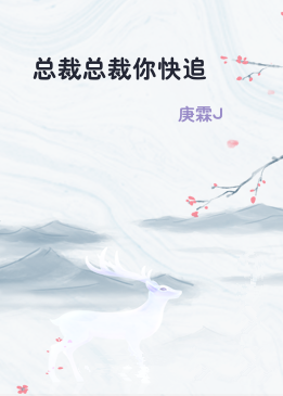 总裁总裁你快追