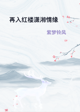 再入红楼潇湘情缘