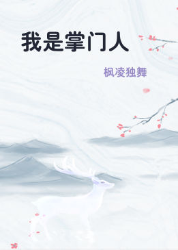 我是掌门人