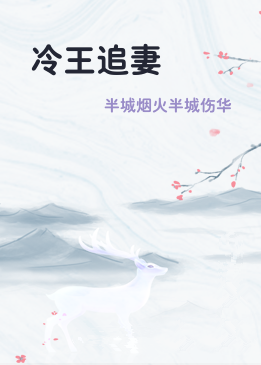 冷王追妻
