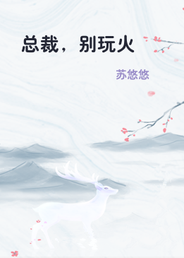 总裁，别玩火