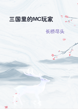 三国里的MC玩家
