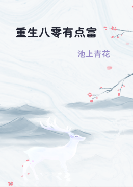 重生八零有点富