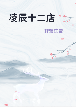 凌辰十二店