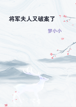 将军夫人又破案了