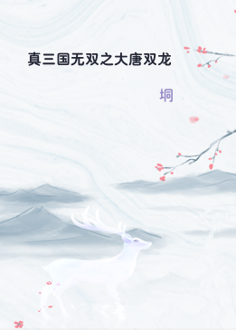 真三国无双之大唐双龙