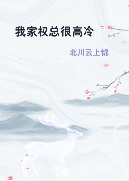 我家权总很高冷
