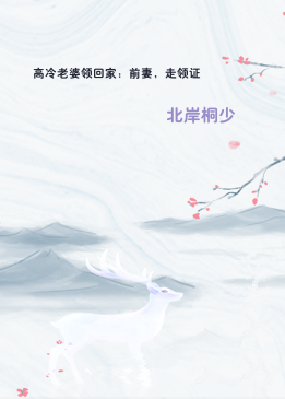 高冷老婆领回家：前妻，走领证