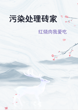污染处理砖家
