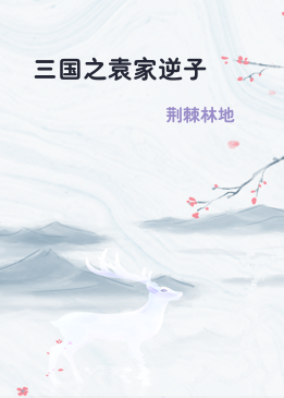 三国之袁家逆子