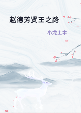 赵德芳贤王之路