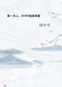 第一夫人：BOSS独家制爱