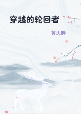 穿越的轮回者