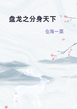 盘龙之分身天下