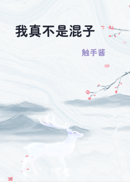 我真不是混子