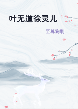 叶无道徐灵儿