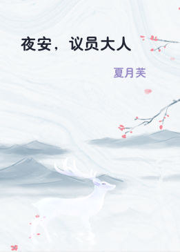 夜安，议员大人