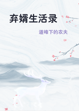 弃婿生活录