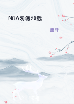 NBA匆匆20载