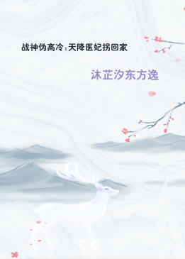战神伪高冷:天降医妃拐回家