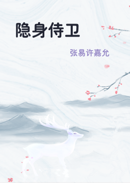 隐身侍卫