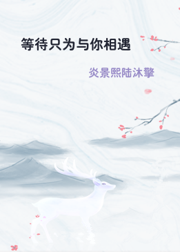 等待只为与你相遇
