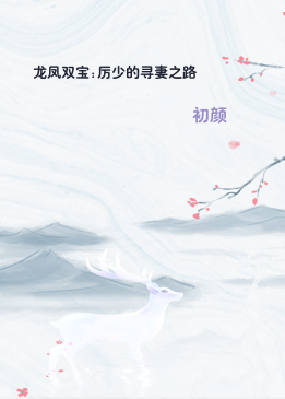 龙凤双宝:厉少的寻妻之路