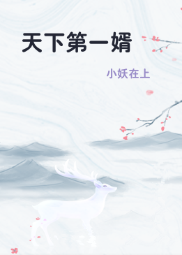 天下第一婿