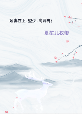 娇妻在上:玺少,高调宠!