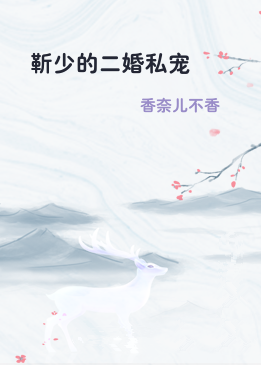 靳少的二婚私宠