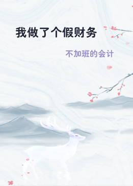 我做了个假财务