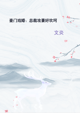 豪门戏婚：总裁攻妻好坎坷