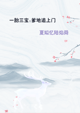 一胎三宝:爹地追上门