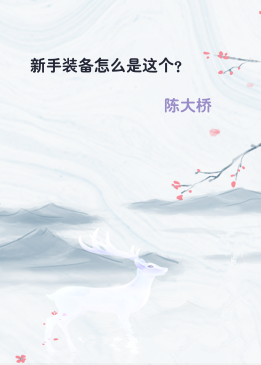 新手装备怎么是这个？