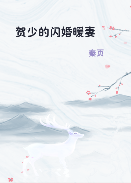 贺少的闪婚暖妻