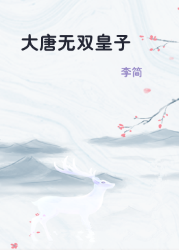 大唐无双皇子