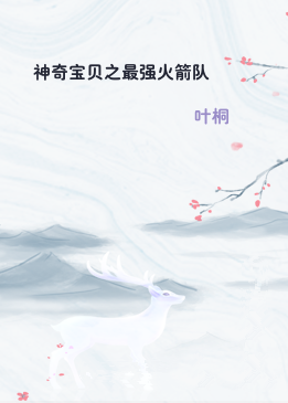 神奇宝贝之最强火箭队
