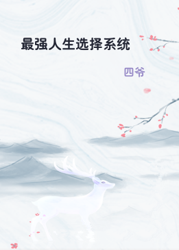 最强人生选择系统