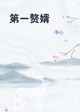 第一赘婿