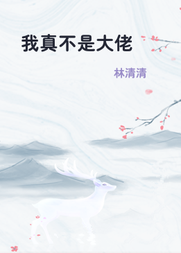 我真不是大佬
