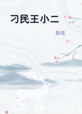 刁民王小二