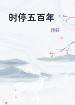 时停五百年