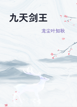 九天剑王