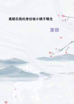 离婚后我的身份被小姨子曝光