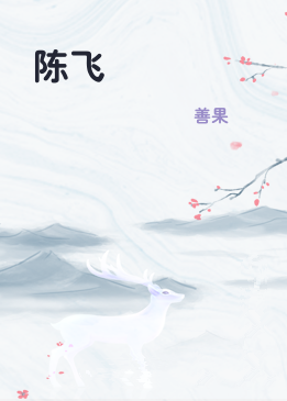 陈飞