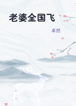 老婆全国飞