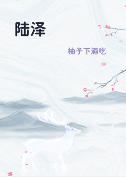 陆泽