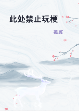 此处禁止玩梗
