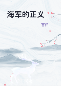 海军的正义